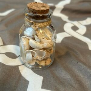 Beach decorative jar shells